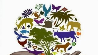 Παγκόσμια Ημέρα Βιοποικιλότητας – Hot Spot η Ελλάδα