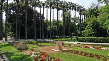 Παγκόσμια Ημέρα Περιβάλλοντος: Η συμμετοχή του δήμου Αθηναίων