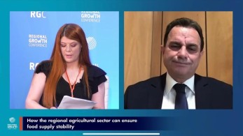Γεωργαντάς: Ο αγροδιατροφικός τομέας μπορεί να συμβάλλει στην ανάπτυξη όλης της χώρας