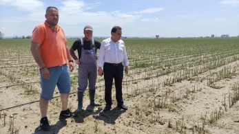 Γεωργαντάς στο Κιλκίς: Η καταστροφή της παραγωγής είναι καθολική