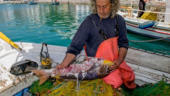 Πληρωμές στους ψαράδες που επλήγησαν λόγω κορωνοϊού