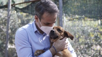 Με πρωτοβουλία Μητσοτάκη συγκροτείται Ειδική Γραμματεία για την Προστασία των Ζώων Συντροφιάς