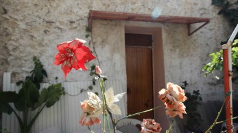 Γκύζη: Παρουσιάστηκε στο ΑΤ ο σύζυγος της νεκρής γυναίκας