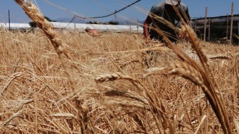 Ένας σιτοβολώνας από τα παλιά, στην τουριστική Ιεράπετρα