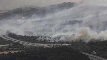 Αργεντινή: δασικές πυρκαγιές κατακαίνε την Παταγονία - κάηκαν 250.000 στρέμματα