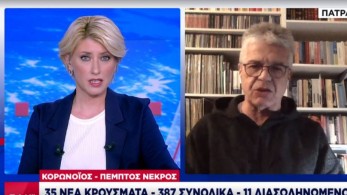 Γώγος: Ελπίζουμε σε ύφεση της επιδημίας σε 2 μήνες