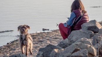 Πρωτοβουλία Θεοδωρικάκου για όσους έχουν ανάγκη αλλά και τα ζώα (vids)