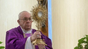 Πάπας Φραγκίσκος: «Ζήτησα από τον Κύριο να σταματήσει την επιδημία»