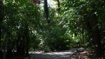 Ανελέητος ξυλοδαρμός 18χρονου από Ρομά στον Κολωνό