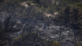 Σε ύφεση οι φωτιές σε Ζαχάρω και Ροδιές Ηλείας