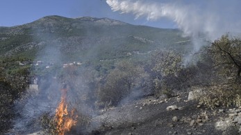 Αναζωπυρώσεις στην Κορυφή Πύργου Ηλείας (VIDEO)