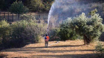 Τρίπολη: Υπό έλεγχο η φωτιά στην περιοχή Ρούτσι του δήμου Μεγαλόπολης