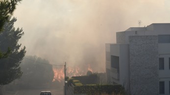 Πυροσβεστική: Ενεργά μέτωπα σε Γέρακα, Ανθούσα και Παλλήνη