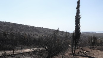 Επείγουσα εισαγγελική έρευνα για τις φωτιές σε Πεντέλη και Μέγαρα