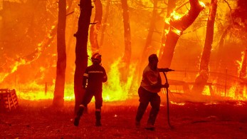 Λέσβος:«Τραγική η κατάσταση» λέει  o Περιφερειάρχης Β. Αιγαίου – Τραυματίστηκε πυροσβέστης