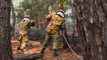 Εκπρόσωπος Τύπου Πυροσβεστικής – Εξαιρετικά δύσκολη η πυρκαγιά στο δάσος Δαδιάς