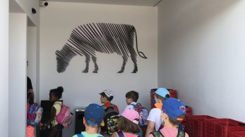 ΟΚΑΑ: Εκπαιδευτική επίσκεψη παιδιών από το πρόγραμμα «Αθλοδιακοπές»