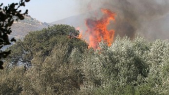 Πυρκαγιά στη Λευκάδα- Επιχειρούν και εναέρια μέσα