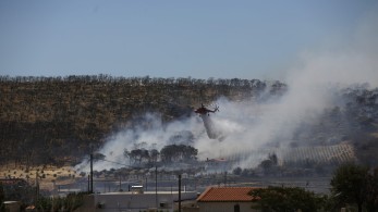 Πυρκαγιά στη Φέριζα Σαρωνικού: Ενισχύθηκαν οι δυνάμεις-Μήνυμα του 112