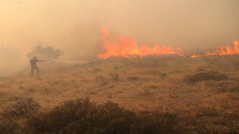 Σε ένα μέτωπο η φωτιά στη Σαλαμίνα