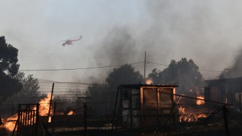 Αυτοψίες σε 155 κτήρια