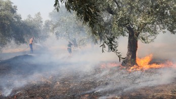 Φωτιές: Καλύτερη η εικόνα σε Ιτέα και Κρανίδι