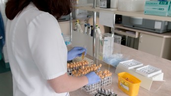 Ευλογιά των πιθήκων: Συνολικά επτά τα περιστατικά στην Ελλάδα