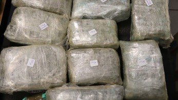 Εντοπισμός μεγάλης ποσότητας ναρκωτικών στην Ορεστιάδα