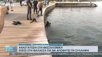 Επεισοδιακή σύλληψη άνδρα στη Θεσσαλονίκη – Έπεσε στον Θερμαϊκό με τις χειροπέδες!