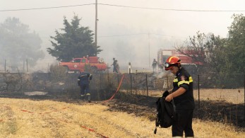 Λέσβος: Μάχη με τις αναζωπυρώσεις στη Ρογκάδα