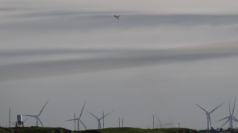 Κίνα: Συνεχίζονται τα γυμνάσια “γύρω από την Ταϊβάν”