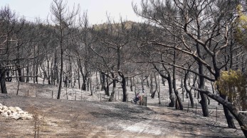 Λέσβος: Εκκενώνεται  προληπτικά το χωριό Βρίσα