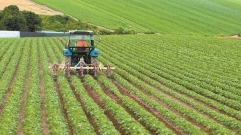 Η Ουκρανία εξήγαγε 3 εκατ. τόνους αγροτικών προϊόντων τον Ιούλιο