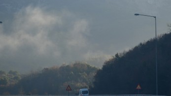 Γρεβενά: Αρκούδα τραυματίστηκε θανάσιμα σε τροχαίο στην Εγνατία Οδό