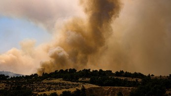 Πυρκαγιά στη Δαδιά-Μάχη να οριοθετηθεί δίνουν οι πυροσβεστικές δυνάμεις