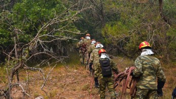 Εκπνέει η προθεσμία καθαρισμού οικοπέδων