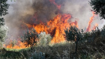Πυρκαγιές σε Ιτέα και Νίκαια