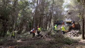 Μάχη με το χρόνο στη φωτιά στα Κρέστενα