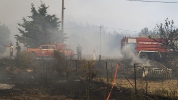 Φωτιά στην Ηλεία