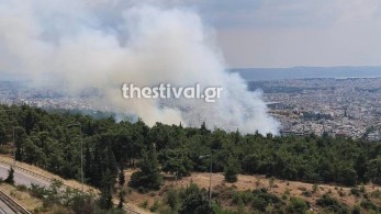 Θεσσαλονίκη: Πυρκαγιά σε εξέλιξη στο δάσος του Σέιχ Σου (video)