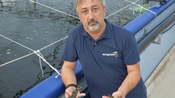 Τσάνης: Στα 10 έφυγε στην Αυστραλία, 40 χρόνια μετά  δημιούργησε στην Ηγουμενίτσα την πρώτη μονάδα εκτροφής γαρίδας