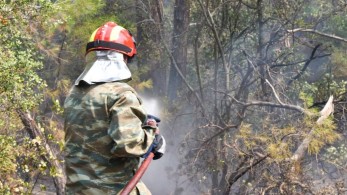 Φωτιές: Εκκένωση της Βρίσας και του Σταυρού – Συνδρομή στρατού σε Έβρο και Λέσβο