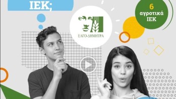 ΕΛΓΟ-ΔΗΜΗΤΡΑ: Έως 15 Σεπτέμβρη οι εγγραφές στα ΔΙΕΚ