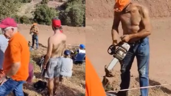 ΕΚΟ Ράλλυ Ακρόπολις : Θεατές έκοψαν δέντρο με αλυσοπρίονο γιατί τους έκρυβε τη θέα