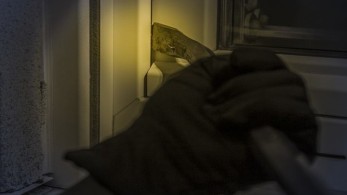 Θεσσαλονίκη: Διαρρήκτης-αναρριχητής συνελήφθη επ΄αυτοφώρω