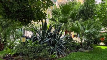 Δήμος Αθηναίων: 19 “πράσινες” αναπλάσεις μέσα στον Αύγουστο στις γειτονιές της πόλης (pics)