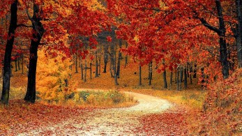 Φθινοπωρινή ισημερία αύριο – Αρχίζει να νυχτώνει νωρίτερα