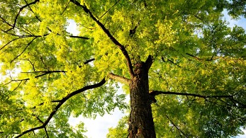 Καιρός: Ηλιοφάνεια και περαιτέρω άνοδος της θερμοκρασίας αύριο