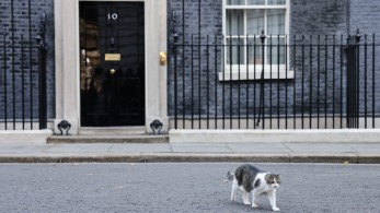 Βαγγέλης Παπακωνσταντίνου: Πρωθυπουργός από τον λαό, όχι από το κόμμα