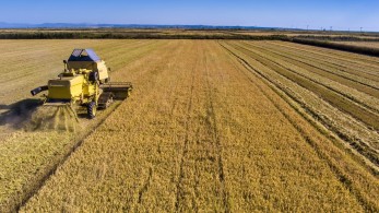 Χαμηλότοκα δάνεια σε αγρότες: Μικρά δάνεια έως 25.000 ευρώ με μηδενικό επιτόκιο